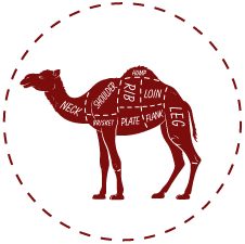 Camel Meat
