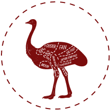 Emu Meat Australia